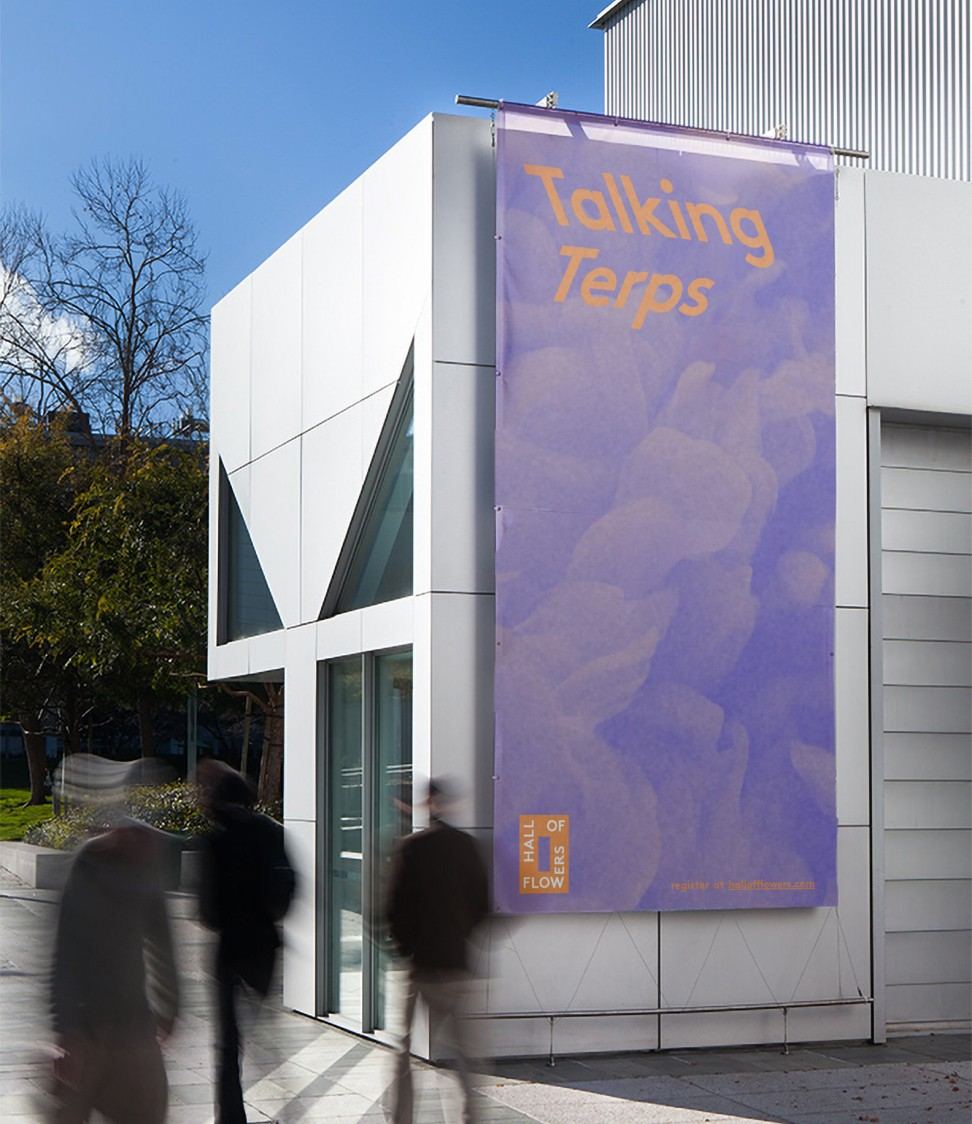 Hall of Flowers — Brand Identity — project artwork