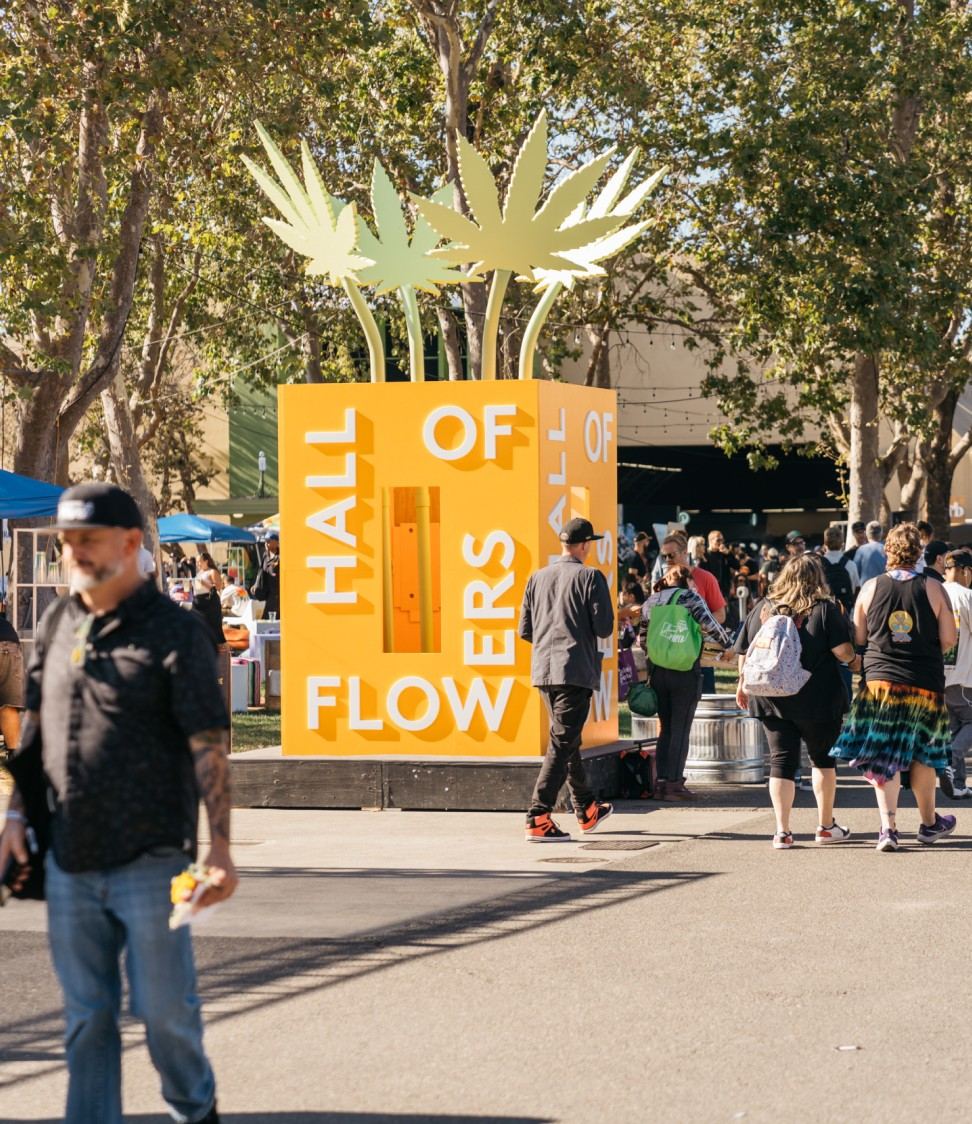 Hall of Flowers — Brand Identity — project artwork