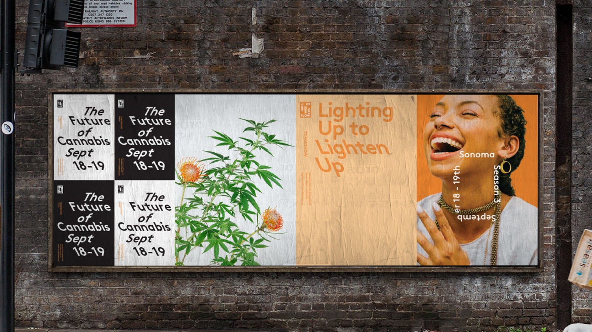 Hall of Flowers — Brand Identity — project artwork